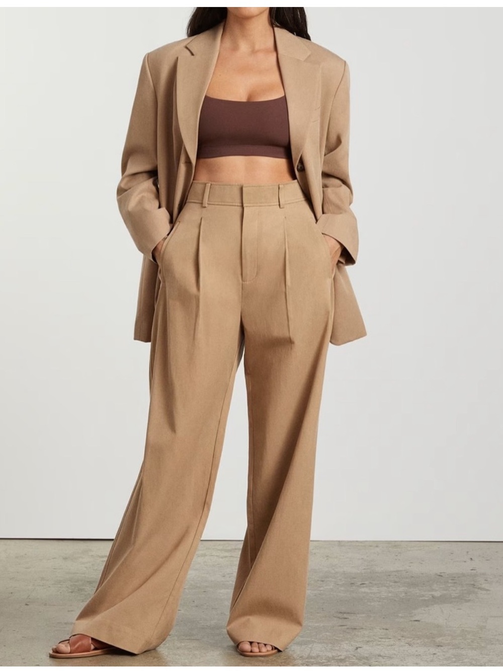 Everlane Draper Pleated Pant in Buttersmooth iAsh Brown Wide Leg 6S